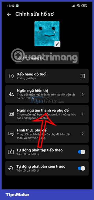 How to adjust audio and subtitles on Netflix Picture 4