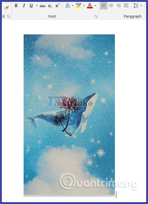 How to create a mirror image on both sides in Word Picture 4