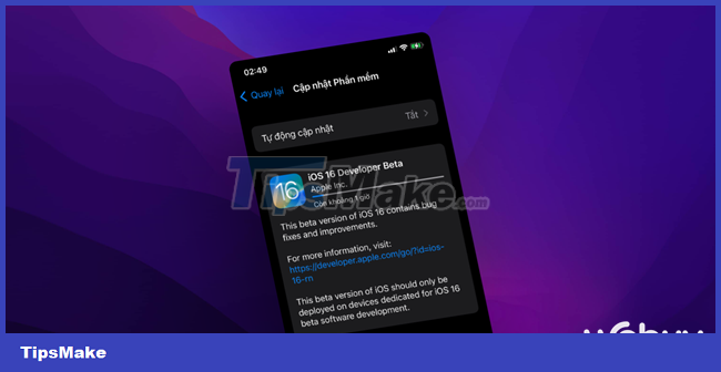 How to downgrade from iOS 16 Developer BETA to a lower version without losing data Picture 1
