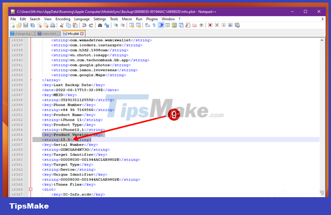 How to downgrade from iOS 16 Developer BETA to a lower version without losing data Picture 10