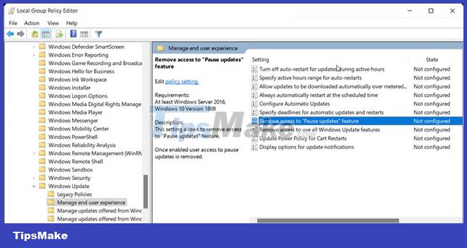 How to fix 'Pause Windows Updates' option not available in Windows 11/10 Picture 1