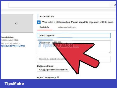 How to Increase Views for YouTube Videos Picture 3