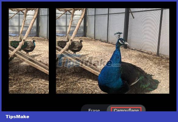 How to remove subjects in photos on Google Photos Picture 4