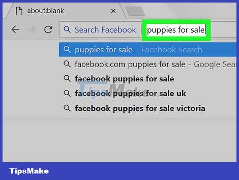 How to Search Websites with Google Picture 13