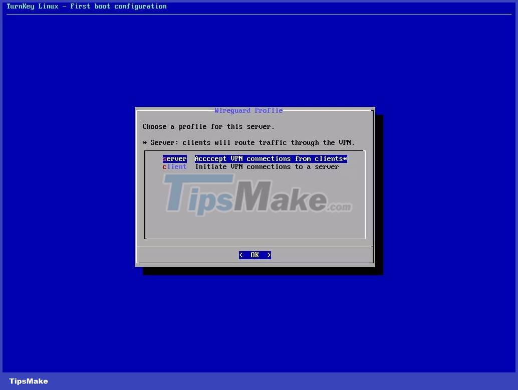 How to set up a private VPN with TurnKey GNU/Linux Picture 3