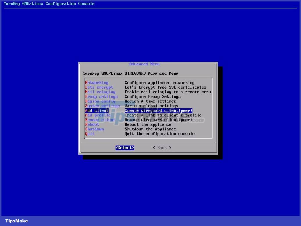 How to set up a private VPN with TurnKey GNU/Linux Picture 9