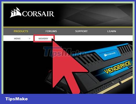 Optimize Your Computer - Speed Up Internet Connection