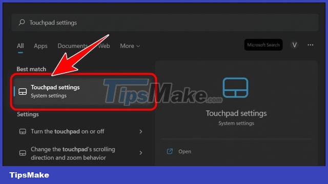 How to turn off the touchpad on Windows 11 simply Picture 4