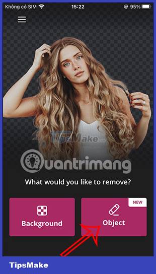 How to use Remove Object & Background to remove photo background Picture 11