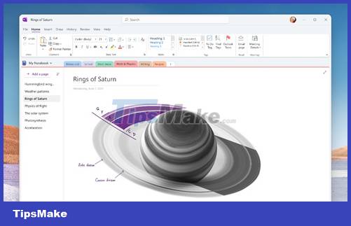 Microsoft begins testing new design of Windows 11 for OneNote app Picture 2