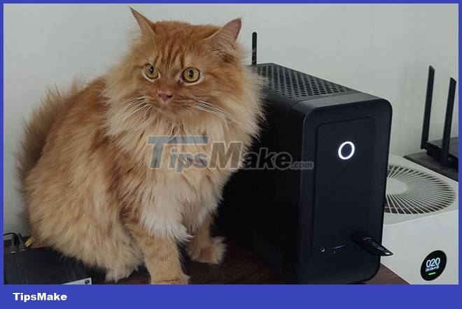 Should choose Mini PC or Raspberry Pi? Picture 1