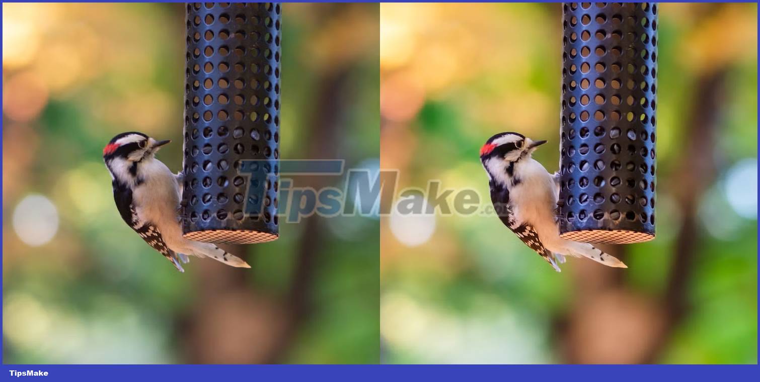 Smartphone cameras will gradually replace DSLR cameras completely Picture 5