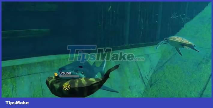 Survival tips in Maneater beginners need to know Picture 5