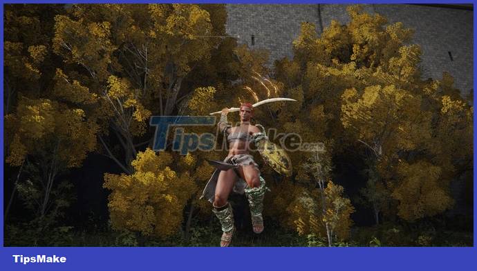 The queen of the Gerudo clan appeared in the land of Elden Ring Picture 3