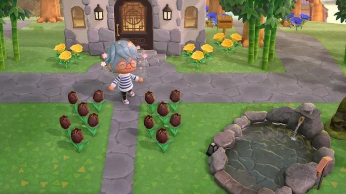 Tips for playing Animal Crossing: New Horizons Picture 3