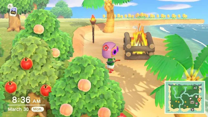 Tips for playing Animal Crossing: New Horizons Picture 5