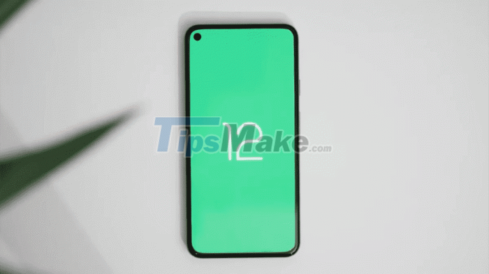 Tips to help speed up Android phones extremely fast Picture 4