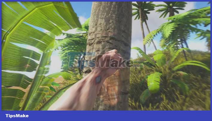 Tips to know to survive in ARK: Survival Evolved Picture 1
