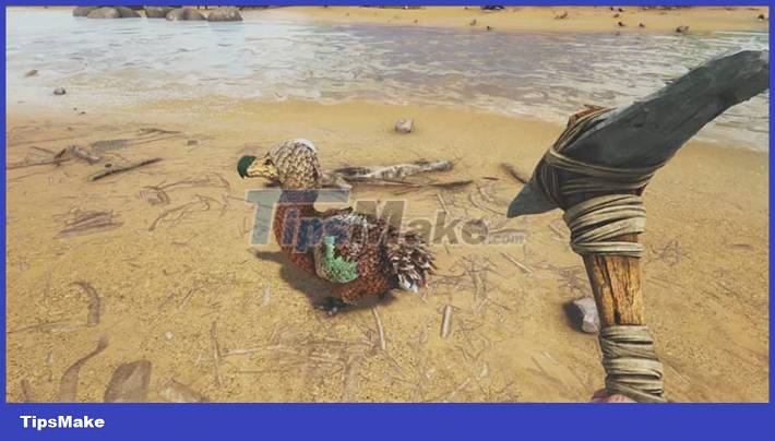 Tips to know to survive in ARK: Survival Evolved Picture 3