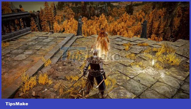 Tips to level up quickly in Elden Ring Picture 4