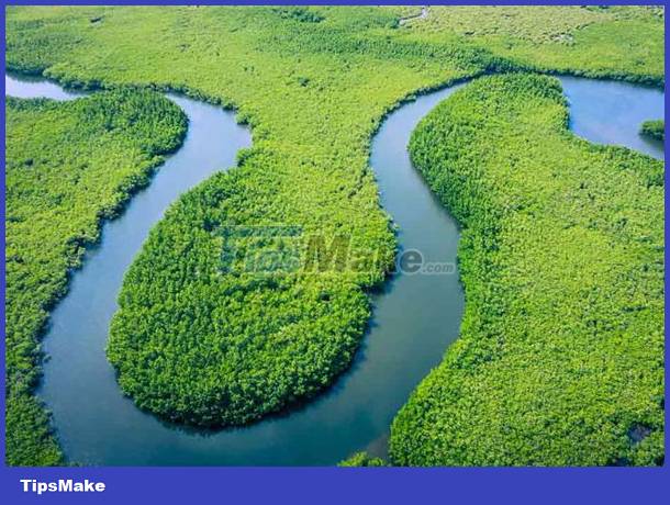 Top 10 longest rivers in the world today Picture 2
