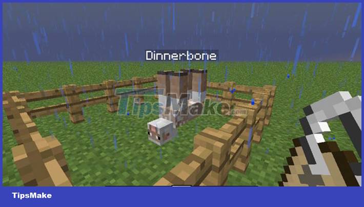 TOP most interesting easter egg mysteries in Minecraft Picture 7