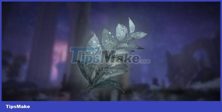 TOP most useful crafting materials in Elden Ring Picture 4