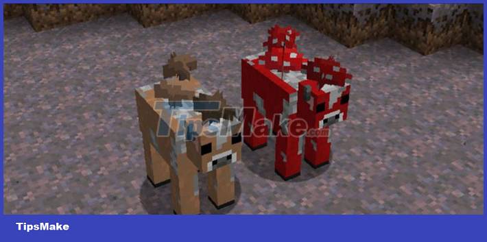 TOP rarest mob variants in Minecraft 1.18 Caves and Cliffs Picture 3