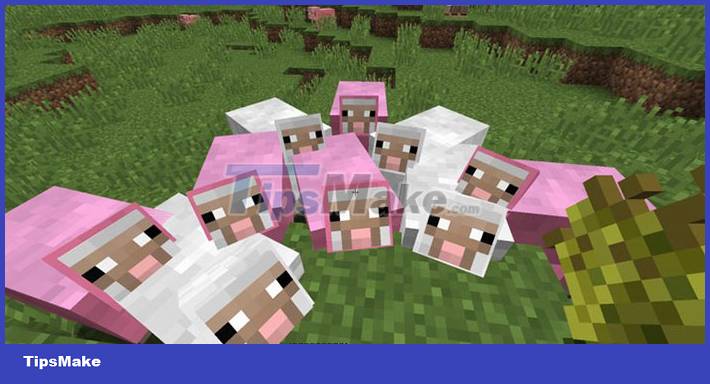 TOP rarest mob variants in Minecraft 1.18 Caves and Cliffs Picture 4