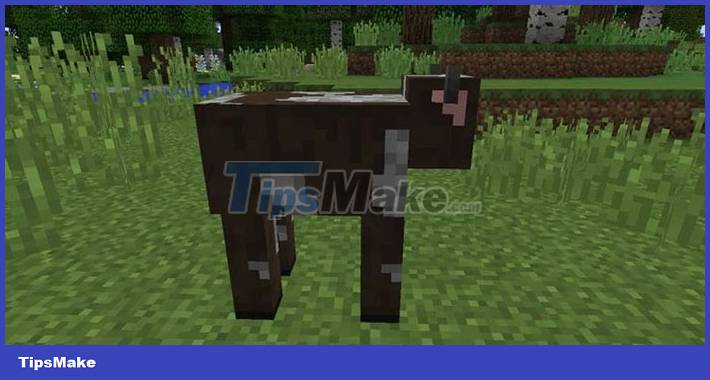 TOP things to do when you start playing Minecraft Picture 4