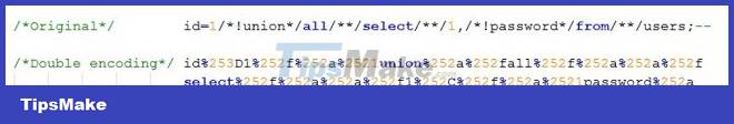 Web5: SQL injection - Some techniques to bypass the filtering mechanism Picture 6