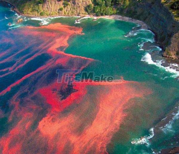 Why are there such strange names as Dead Sea, Black Sea, Red Sea? Picture 3