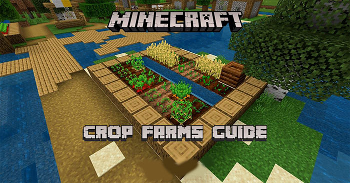 Guide to Farming in Minecraft