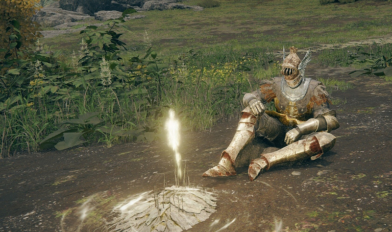Tips to Level Up Quickly in Elden Ring