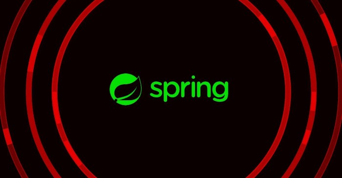 Spring Vulnerability: Complete Guide