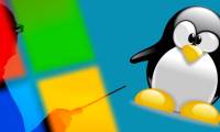 5 Best Practices for Using WSL 2 on Windows 10/11