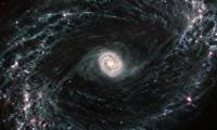 Admire the majestic spectacle of swirls of dust and gas in nearby galaxies
