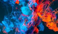 Build a color game using Tkinter in Python