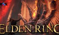 Elden Ring: A Gamer Discovered The Game's 7th Ending