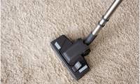 Experience the Difference With Professional Carpet Cleaning Services