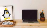 How to install and use yay on Arch Linux