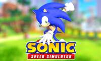 Instructions for entering the latest Sonic Speed ​​Simulator codes and codes