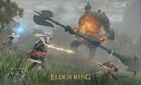 Instructions for playing co-op mode in Elden Ring
