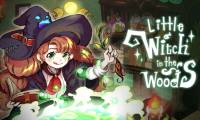 Instructions for playing Little Witch in the Woods for beginners