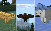 Minecraft: Top 5 most terrible mobs in Minecraft as of 2022