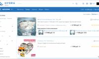 The world's largest dark web is down