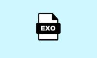 What is an EXO file?