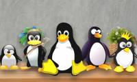 Why does Linux have so many distributions?