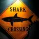 Photo of Detecting SharkBot malware hiding in anti-virus applications on Google Play