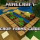 Guide to farming in Minecraft